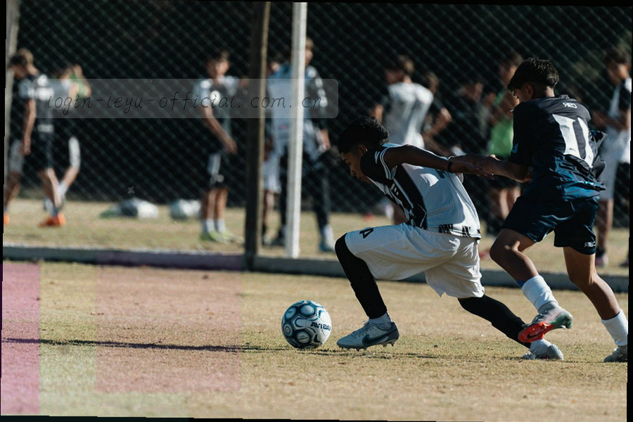 版本号与变更条目排列的界面截图